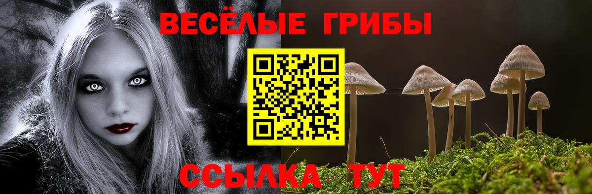 Псилоцибиновые грибы GOLDEN TEACHER Александров